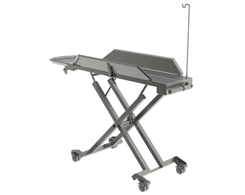 Low Lift Table